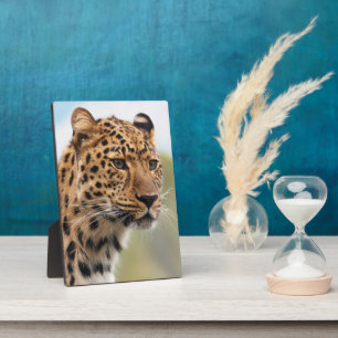 Spotted Leopard Face Portrait Plaque