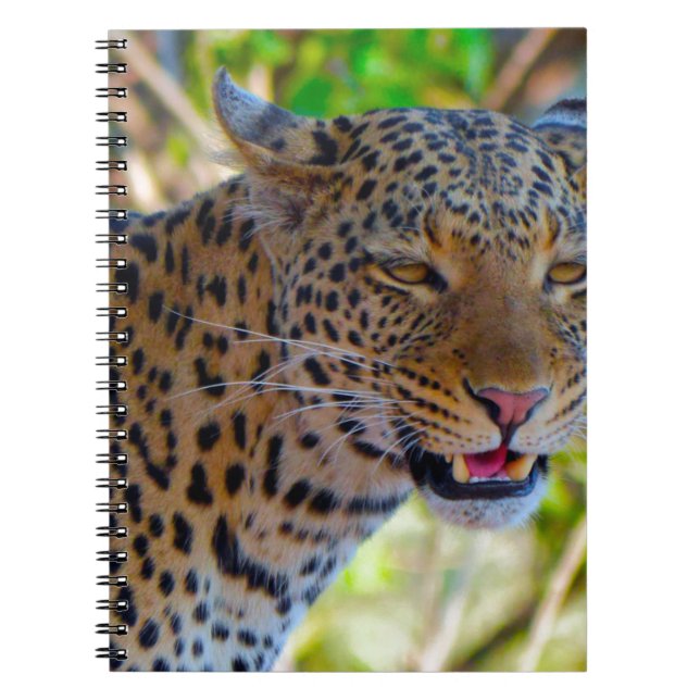 Spotted Leopard Notebook (Front)