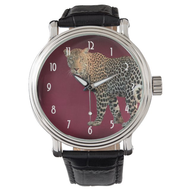 Spotted Leopard Photograph - Beautiful and Intense Watch (Front)