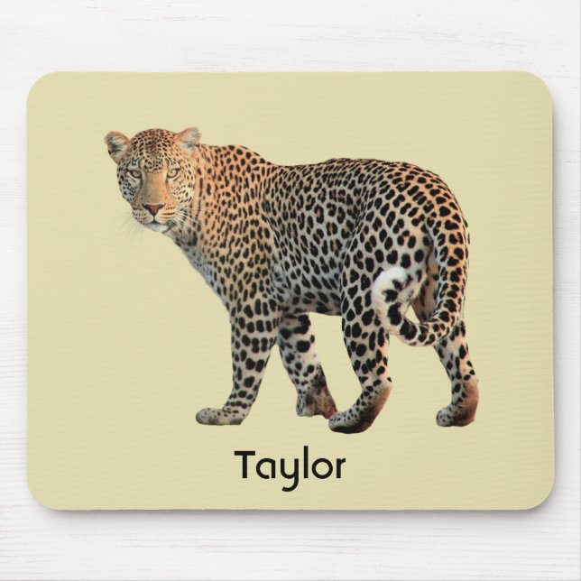 Spotted Leopard Wild Cat Photograph Mouse Pad (Front)