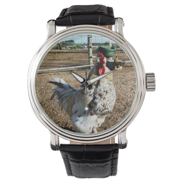 **"Spotted Majesty: The Speckled Farm Rooster"** Watch (Front)