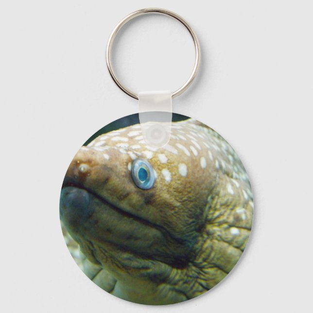 Spotted Moray Eel Keychain (Front)