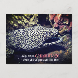 Spotted moray eel underwater holiday postcard