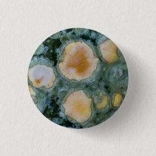 Spotted Ocean Jasper 1 Inch Round Button