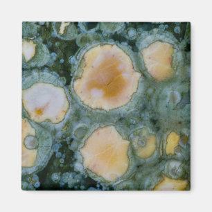 Spotted Ocean Jasper Magnet