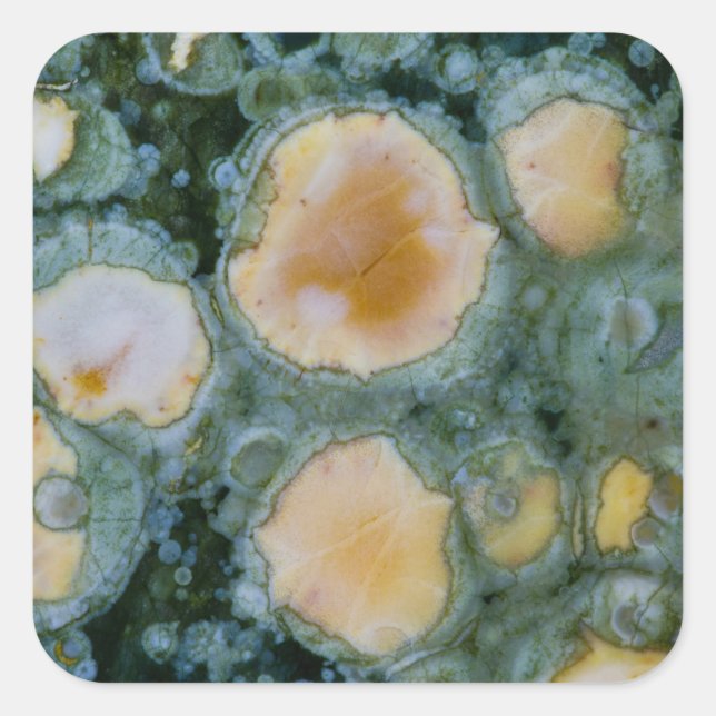 Spotted Ocean Jasper Square Sticker (Front)