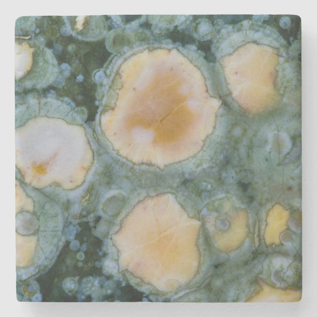 Spotted Ocean Jasper Stone Coaster (Front)