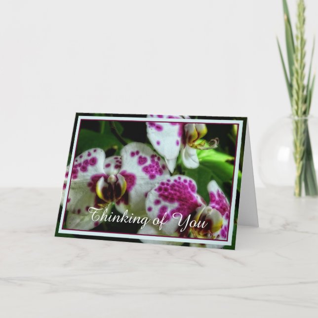 Spotted orchids card (Front)