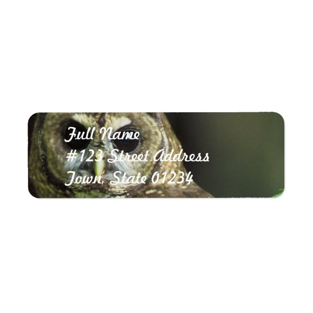 Spotted Owl Mailing Label (Front)