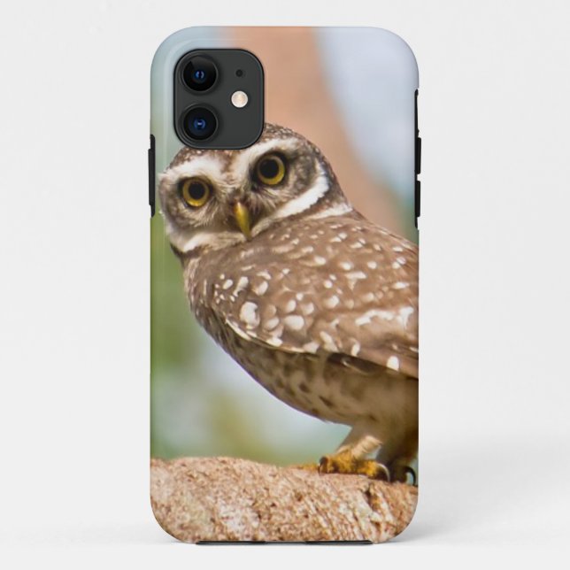 Spotted owl on morning flight. Case-Mate iPhone case (Back)