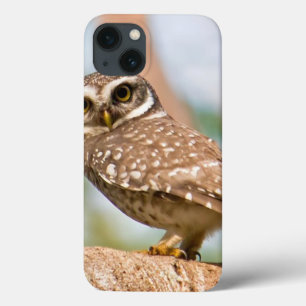Spotted owl on morning flight. iPhone 13 case