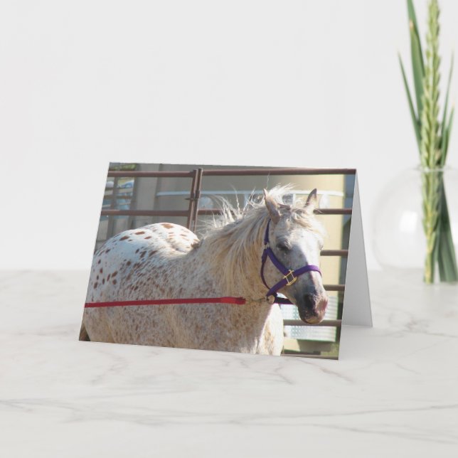 Spotted Pony Card (Front)