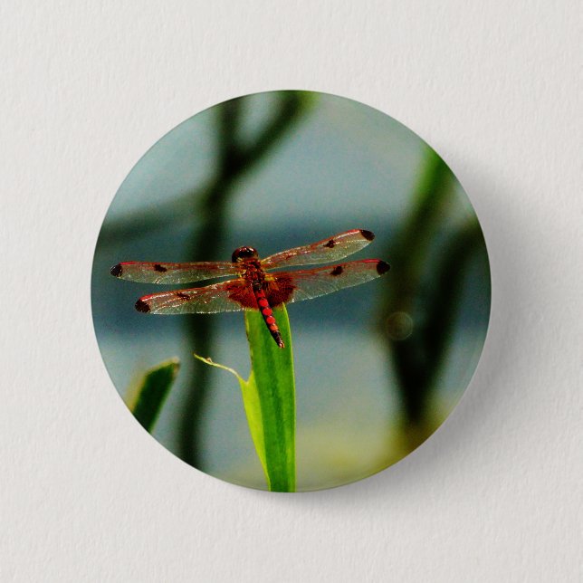 Spotted  Red and Black Dragonfly 2 Inch Round Button (Front)