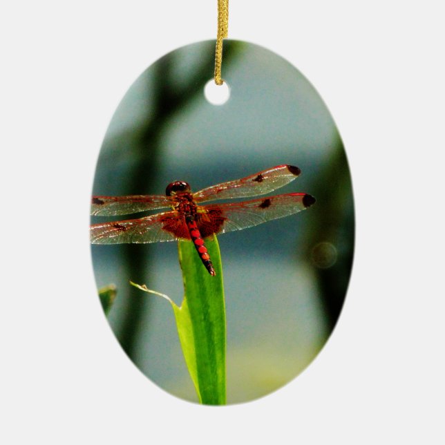 Spotted  Red and Black Dragonfly Ceramic Ornament (Front)