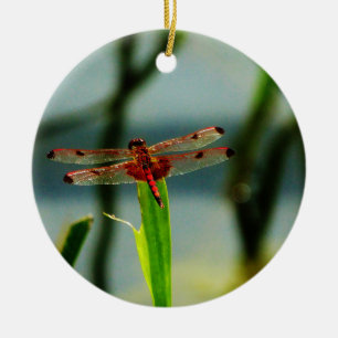 Spotted  Red and Black Dragonfly Ceramic Ornament