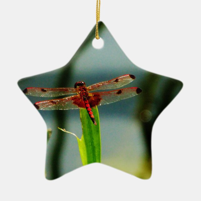 Spotted  Red and Black Dragonfly Ceramic Ornament (Front)