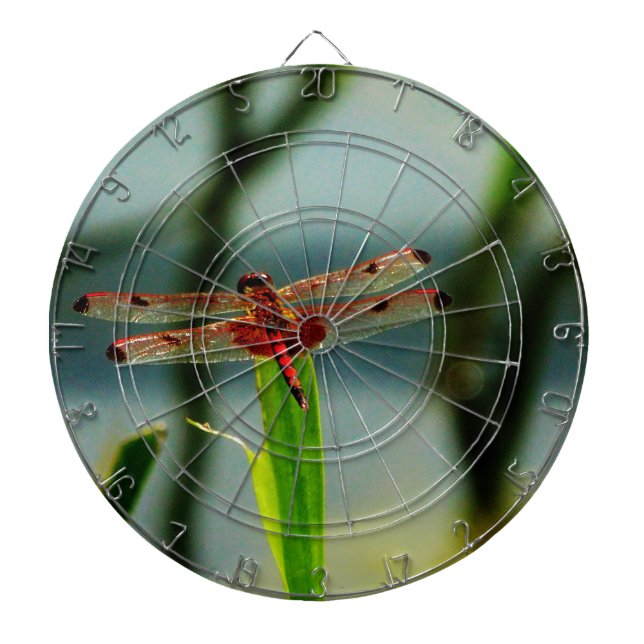 Spotted  Red and Black Dragonfly Dartboard (Front)