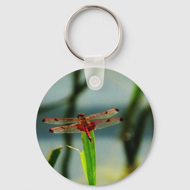 Spotted  Red and Black Dragonfly Keychain (Front)