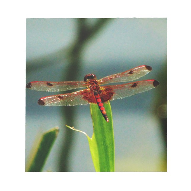 Spotted  Red and Black Dragonfly Notepad (Front)