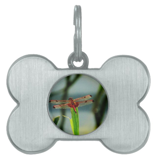 Spotted  Red and Black Dragonfly Pet ID Tag (Front)