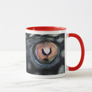 Spotted Royal Preko (Panaque Nigrolineatus) Mug