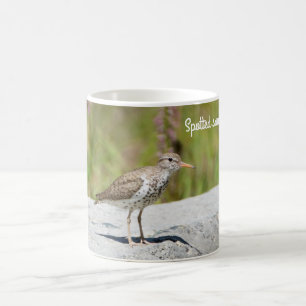 Spotted Sandpiper Coffee Mug