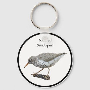 Spotted Sandpiper Keychain