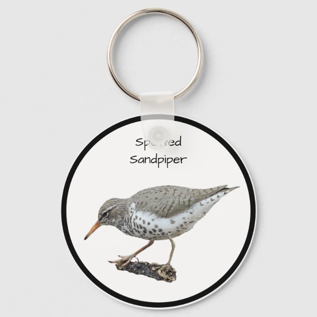 Spotted Sandpiper Keychain (Front)