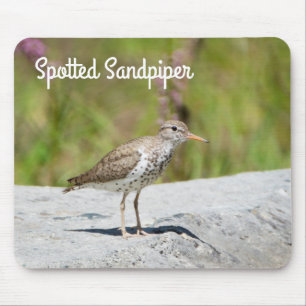 Spotted Sandpiper Mouse Pad