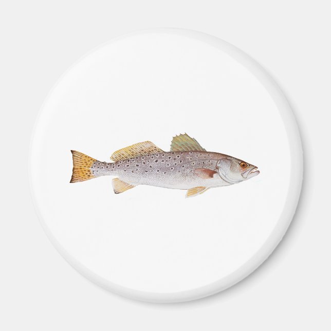Spotted Seatrout Magnet (Front)