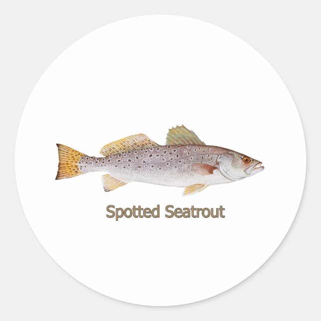 Spotted Seatrout (titled) Classic Round Sticker (Front)