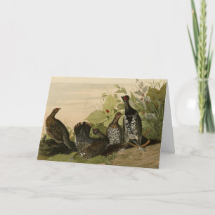 Spotted (Spruce) Grouse Audubon's Birds of America Card