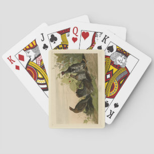 Spotted (Spruce) Grouse Audubon's Birds of America Playing Cards