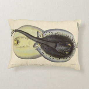 Spotted Stingrays, Vintage Marine Ocean Animals Accent Pillow