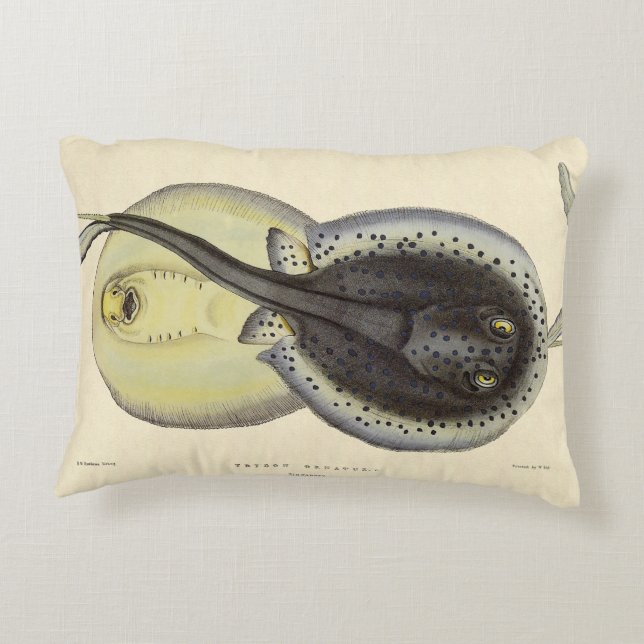 Spotted Stingrays, Vintage Marine Ocean Animals Accent Pillow (Back)