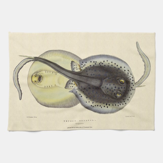 Spotted Stingrays, Vintage Marine Ocean Animals Kitchen Towel (Horizontal)