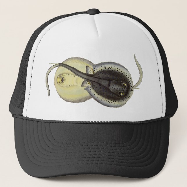 Spotted Stingrays, Vintage Marine Ocean Animals Trucker Hat (Front)