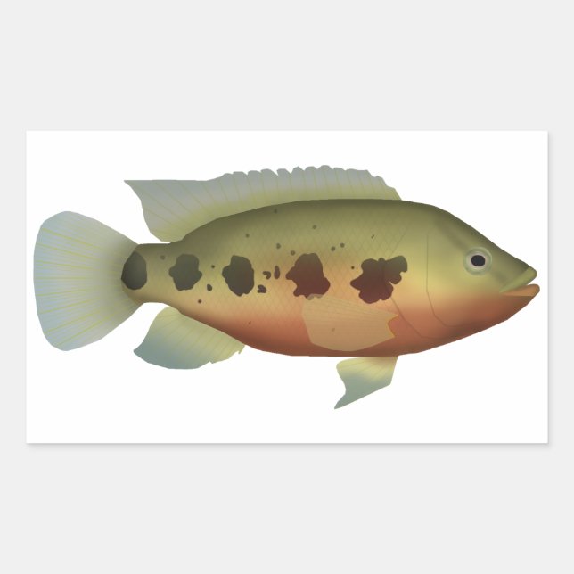 Spotted Tilapia Sticker (Front)