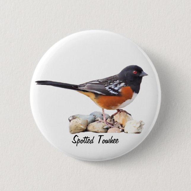 SPOTTED TOWHEE 2 INCH ROUND BUTTON (Front)
