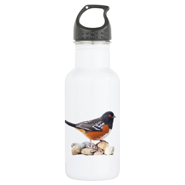 SPOTTED TOWHEE 532 ML WATER BOTTLE (Front)