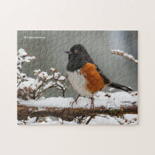 Spotted Towhee on the Grapevine Jigsaw Puzzle