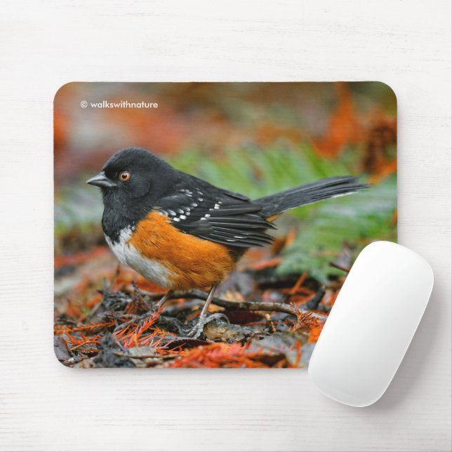 Spotted Towhee Sparrow in Autumn Leaf Litter Mouse Pad (With Mouse)