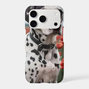 Spotty Handsome Dalmation Dog In The Poppy Field,