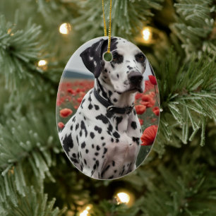 Spotty Handsome Dalmation Dog In The Poppy Field, Ceramic Ornament
