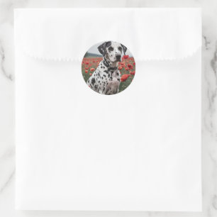 Spotty Handsome Dalmation Dog In The Poppy Field, Classic Round Sticker
