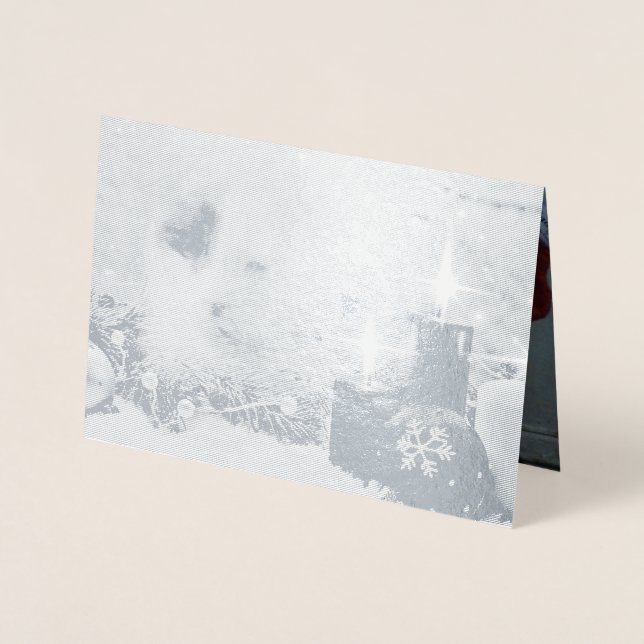 Spotty's Christmas Foil Card (Front)