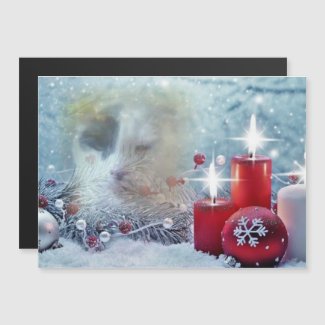Spotty's Christmas Magnetic Card
