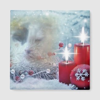 Spotty's Christmas Square Magnet