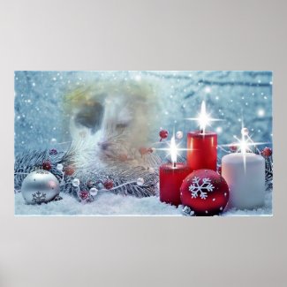 Spotty's Christmas Value Poster