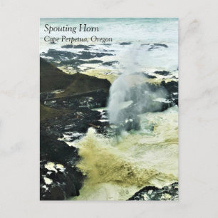 Spouting Horn, Cape Perpetua, Oregon Coast Postcar Postcard